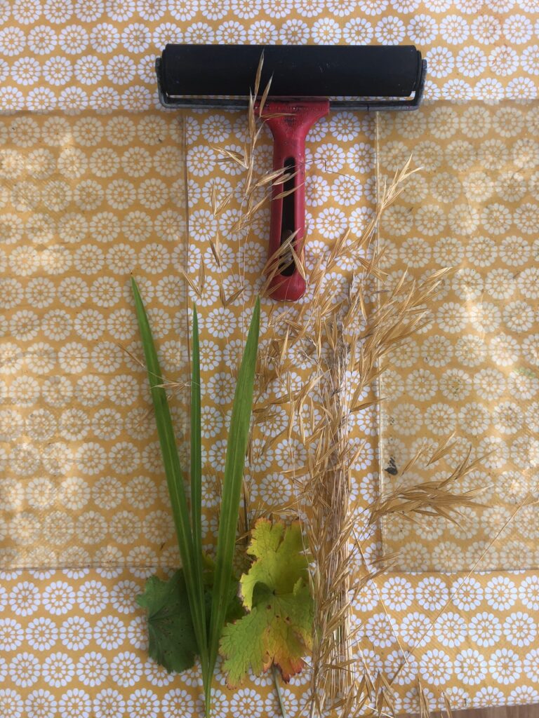 Two gel plates with a rubber roller and some leaves and grass seed heads between them.
